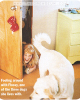 teenpeople03