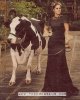 cow