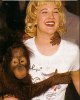 phmonkey03