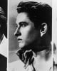 profiles