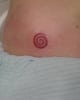05tat