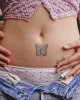 butterfly2