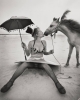 rshorse