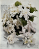 01flowers