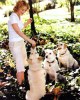 dogs-2