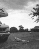 13rv