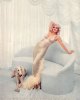 harlow1000