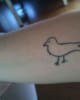 bird
