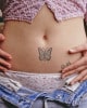 butterfly2