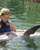 dolphin