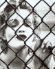 Drew-kiss-fence