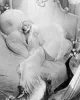 Jean-Harlow-Dinner-at-Eight