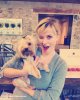 Reese-in-Napa